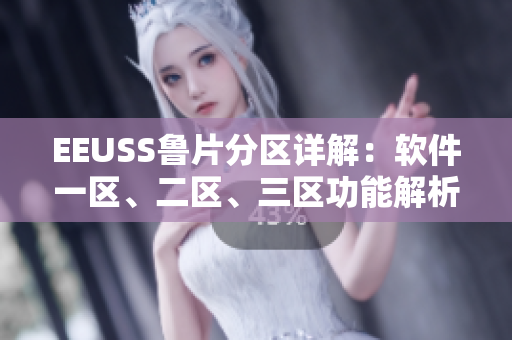 EEUSS鲁片分区详解：软件一区、二区、三区功能解析