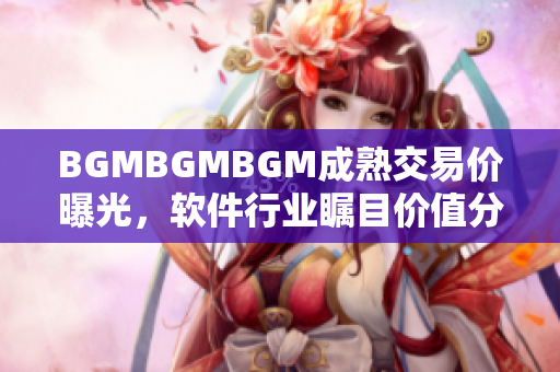 BGMBGMBGM成熟交易价曝光，软件行业瞩目价值分析