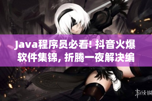 Java程序员必看! 抖音火爆软件集锦, 折腾一夜解决编程难题