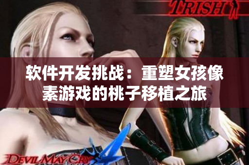 软件开发挑战：重塑女孩像素游戏的桃子移植之旅