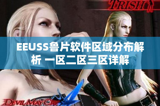 EEUSS鲁片软件区域分布解析 一区二区三区详解