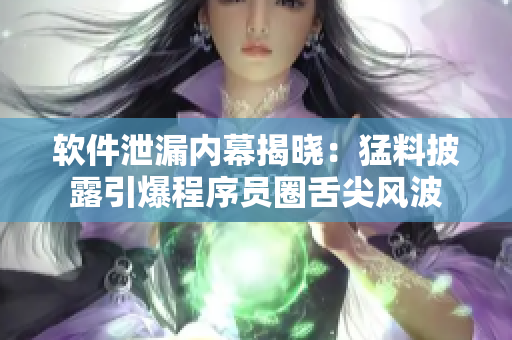 软件泄漏内幕揭晓：猛料披露引爆程序员圈舌尖风波