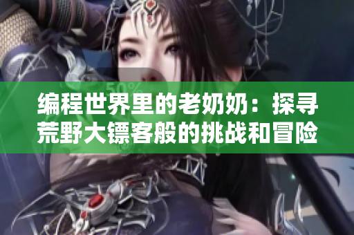 编程世界里的老奶奶：探寻荒野大镖客般的挑战和冒险