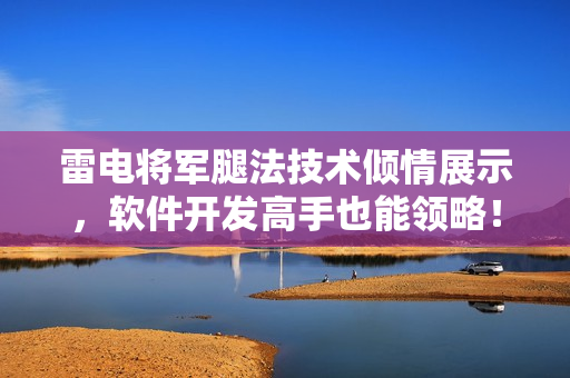 雷电将军腿法技术倾情展示，软件开发高手也能领略！