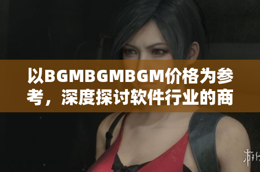 以BGMBGMBGM价格为参考，深度探讨软件行业的商业模式与利润分析