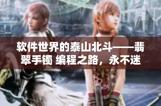 软件世界的泰山北斗——翡翠手镯 编程之路，永不迷失
