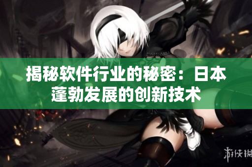 揭秘软件行业的秘密：日本蓬勃发展的创新技术