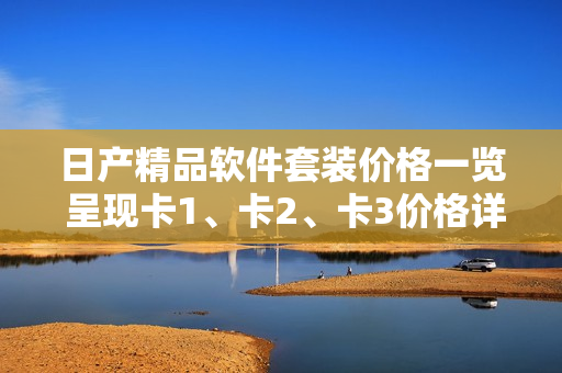 日产精品软件套装价格一览 呈现卡1、卡2、卡3价格详解