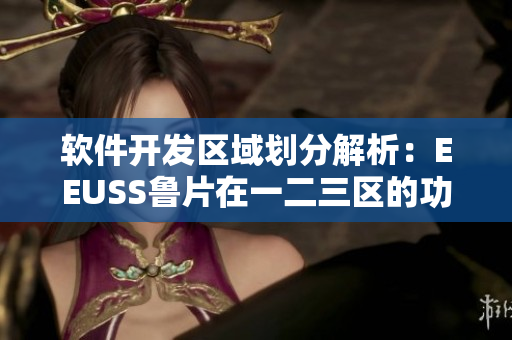 软件开发区域划分解析：EEUSS鲁片在一二三区的功能区别