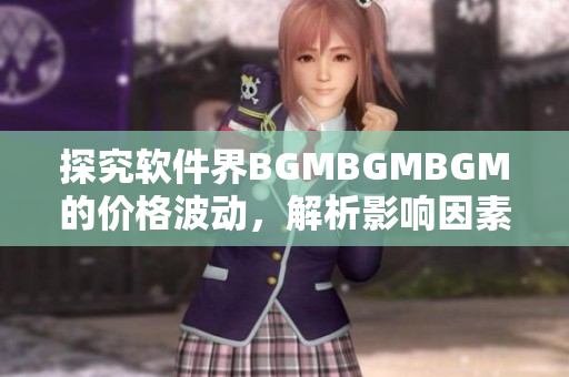 探究软件界BGMBGMBGM的价格波动，解析影响因素与市场变化趋势