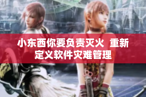 小东西你要负责灭火  重新定义软件灾难管理