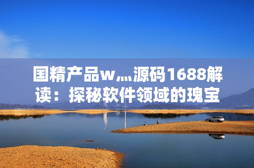 国精产品w灬源码1688解读：探秘软件领域的瑰宝