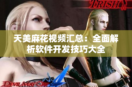 天美麻花视频汇总：全面解析软件开发技巧大全