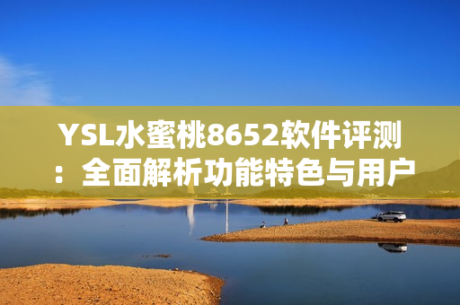 YSL水蜜桃8652软件评测：全面解析功能特色与用户体验