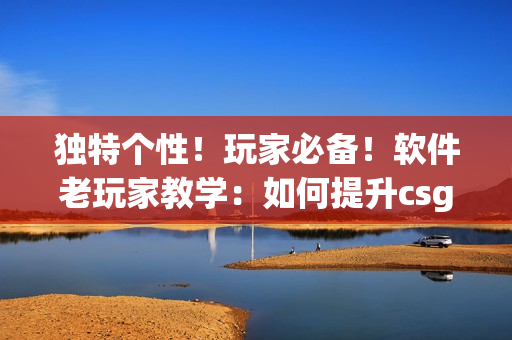 独特个性！玩家必备！软件老玩家教学：如何提升csgo技能