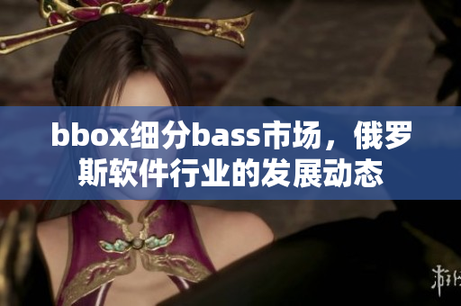 bbox细分bass市场，俄罗斯软件行业的发展动态