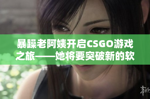 暴躁老阿姨开启CSGO游戏之旅——她将要突破新的软件挑战