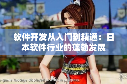 软件开发从入门到精通：日本软件行业的蓬勃发展