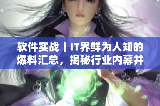 软件实战｜IT界鲜为人知的爆料汇总，揭秘行业内幕并解锁技术黑料