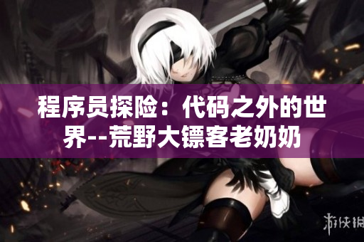 程序员探险：代码之外的世界--荒野大镖客老奶奶