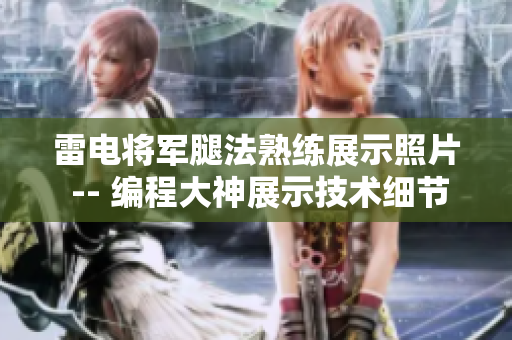 雷电将军腿法熟练展示照片 -- 编程大神展示技术细节图解