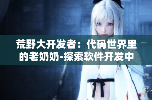 荒野大开发者：代码世界里的老奶奶-探索软件开发中的传奇故事