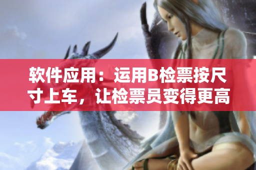软件应用：运用B检票按尺寸上车，让检票员变得更高效
