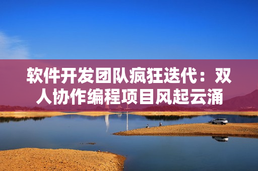 软件开发团队疯狂迭代：双人协作编程项目风起云涌