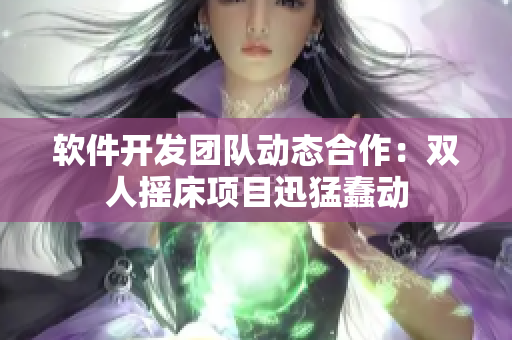 软件开发团队动态合作：双人摇床项目迅猛蠢动