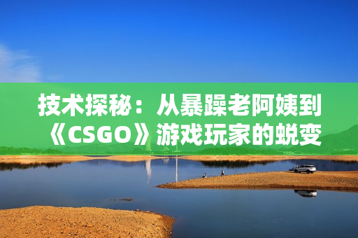 技术探秘：从暴躁老阿姨到《CSGO》游戏玩家的蜕变