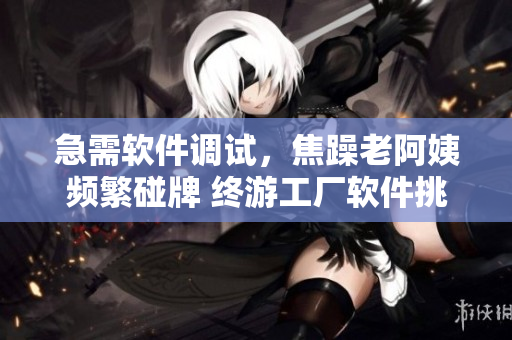 急需软件调试，焦躁老阿姨频繁碰牌 终游工厂软件挑战