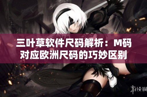 三叶草软件尺码解析：M码对应欧洲尺码的巧妙区别