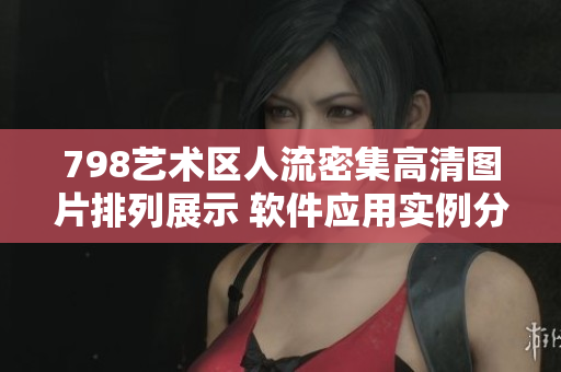 798艺术区人流密集高清图片排列展示 软件应用实例分享