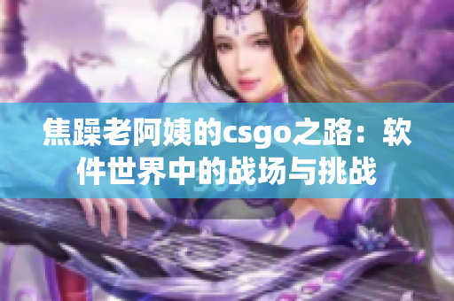 焦躁老阿姨的csgo之路：软件世界中的战场与挑战