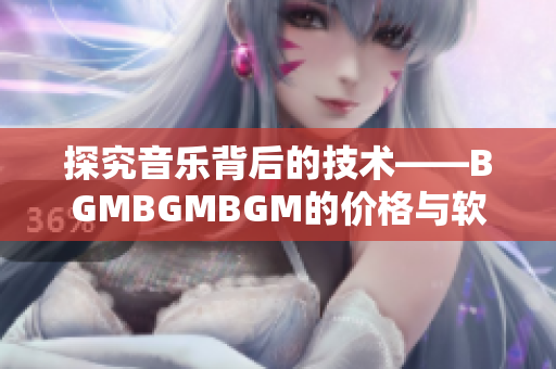 探究音乐背后的技术——BGMBGMBGM的价格与软件产业发展关联探析