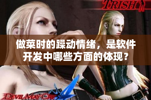 做菜时的躁动情绪，是软件开发中哪些方面的体现？