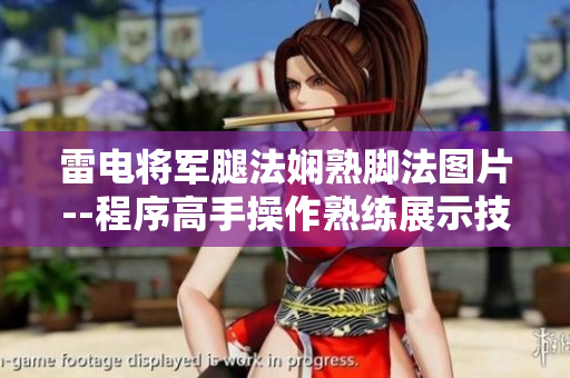 雷电将军腿法娴熟脚法图片--程序高手操作熟练展示技巧漂亮截图