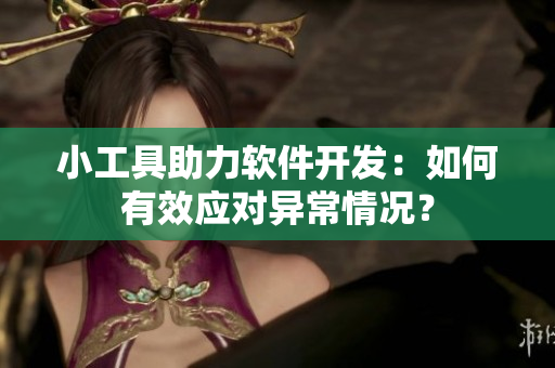 小工具助力软件开发：如何有效应对异常情况？