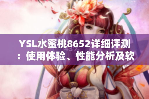 YSL水蜜桃8652详细评测：使用体验、性能分析及软件特性介绍