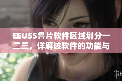 EEUSS鲁片软件区域划分一二三，详解该软件的功能与特点