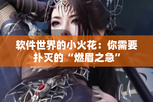 软件世界的小火花：你需要扑灭的“燃眉之急”