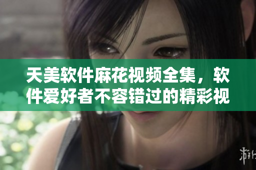 天美软件麻花视频全集，软件爱好者不容错过的精彩视频盛宴