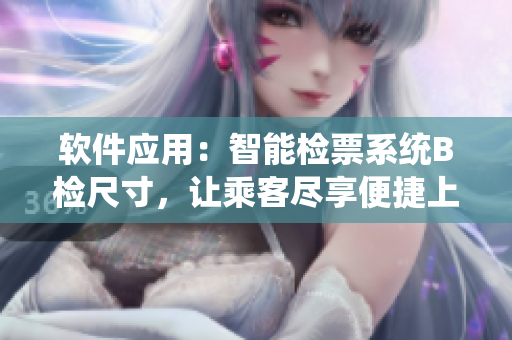 软件应用：智能检票系统B检尺寸，让乘客尽享便捷上车待遇
