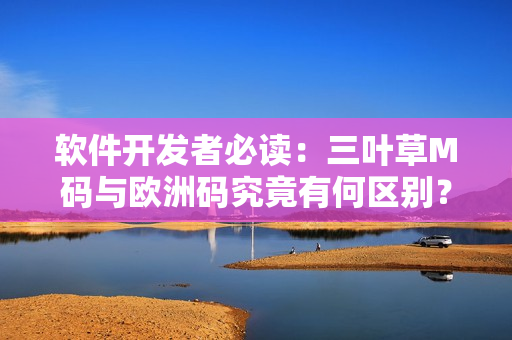 软件开发者必读：三叶草M码与欧洲码究竟有何区别？