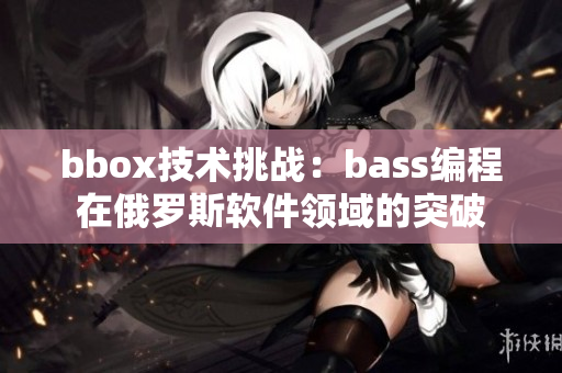 bbox技术挑战：bass编程在俄罗斯软件领域的突破