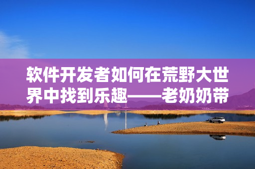 软件开发者如何在荒野大世界中找到乐趣——老奶奶带你探索软件开发之道