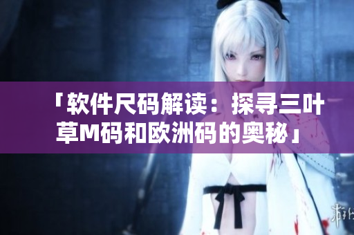「软件尺码解读：探寻三叶草M码和欧洲码的奥秘」