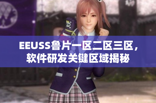 EEUSS鲁片一区二区三区，软件研发关键区域揭秘