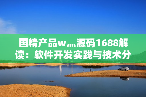 国精产品w灬源码1688解读：软件开发实践与技术分享