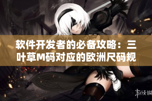 软件开发者的必备攻略：三叶草M码对应的欧洲尺码规则解析